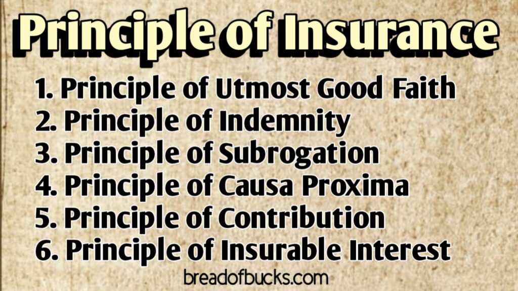 Insurance